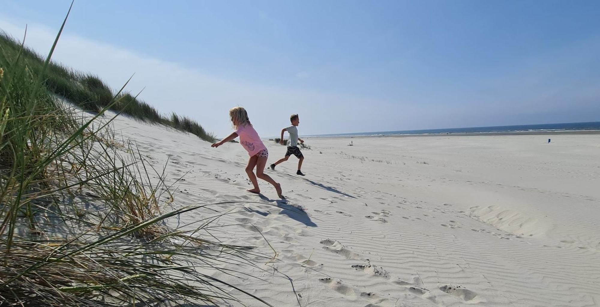 Blomsteech Villa Holwerd Bagian luar foto
